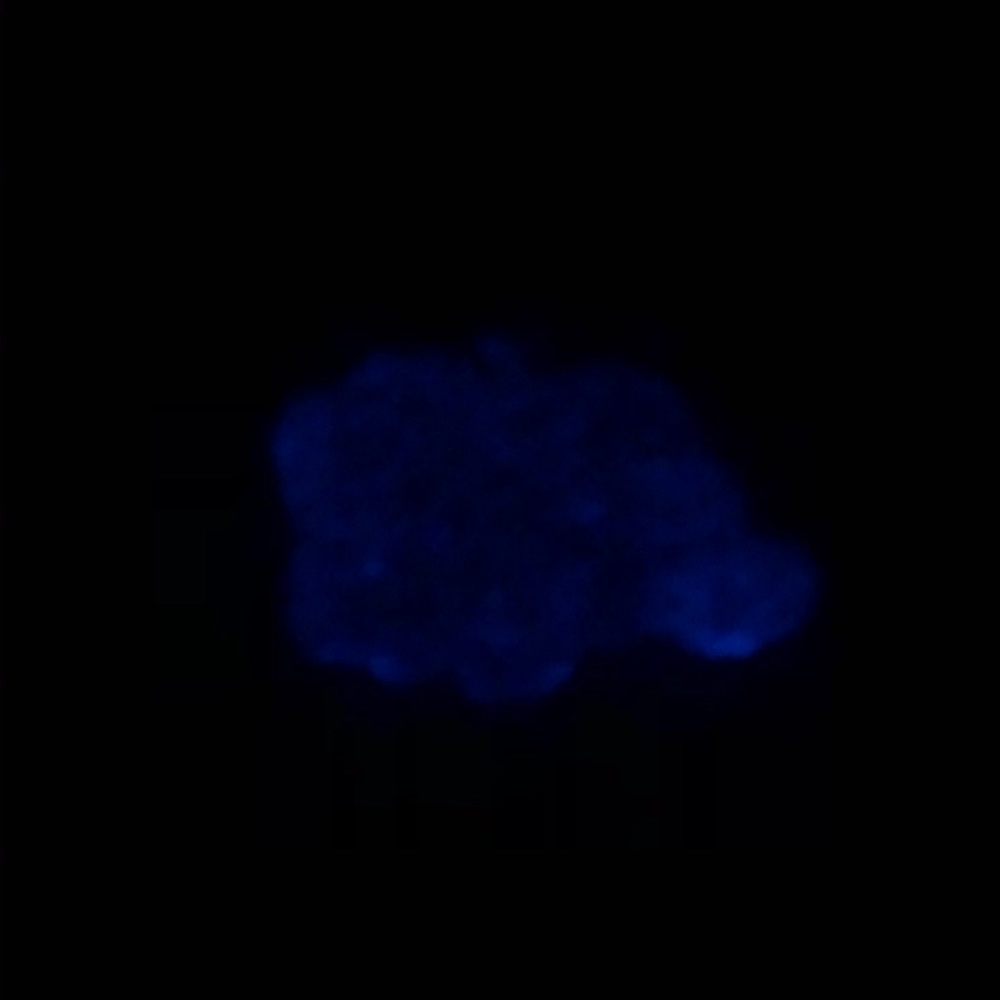 ๐ Handmade Cheshire Cat glow in the dark Keychain - Picture 5 of 5
